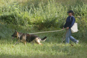 gsd_tracking